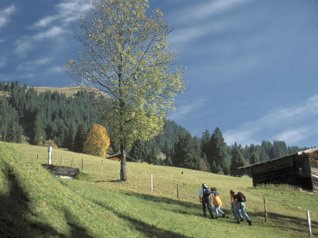 Ferienwohnung Neukumhof Westendorf Exterior foto